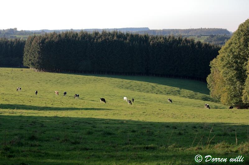 promenade sur les fagnes et alentours ( jalhay ) le 16-oct-2011 Dpp_jalhay---16-o...1---0035-2dd70d4