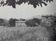Ferme Dominici 2